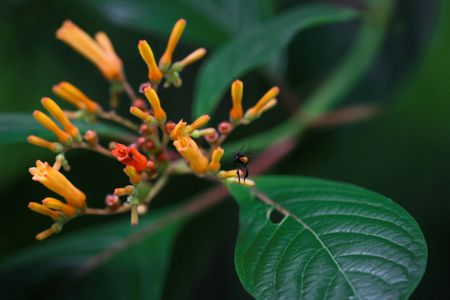 tagreuters.com2026binary_LYNXMPEM3L0JM-VIEWIMAGE