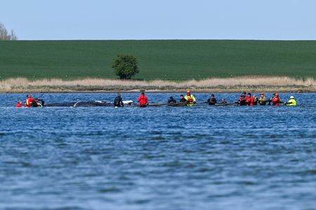 tagreuters.com2026binary_LYNXMPEM3R0TY-VIEWIMAGE