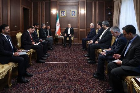 Iranian President Masoud Pezeshkian meets with Pakistan's Interior Minister Mohsin