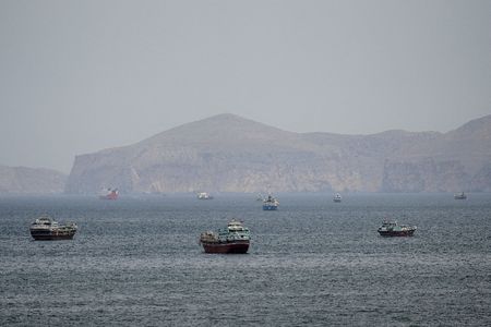 FILE PHOTO: Ships and boats in the Strait of Hormuz