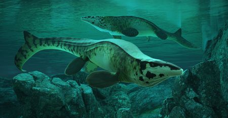 A reconstruction of the Cretaceous Period marine reptile Tylosaurus rex