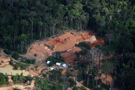 Aerial view shows an illegal gold mine in the Amazon