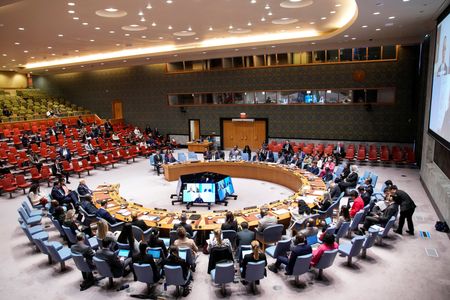 United Nations Security Council meeting on the situation in the