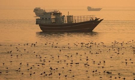 Vessels at the Strait of Hormuz, as seen from Musandam