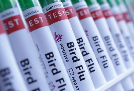 Illustration shows test tubes labelled
