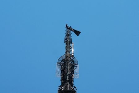 Two people stage a protest atop the Empire State Building