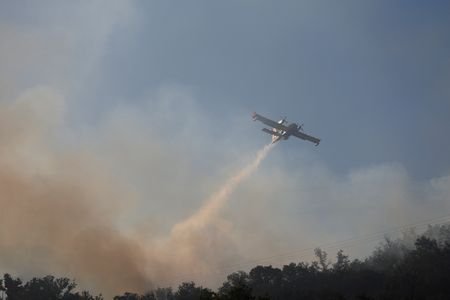 Wildfire burns in Ille-sur-Tet near Perpignan