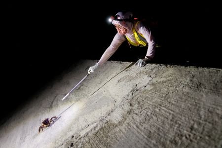 A volunteer marks a mangrove land crab during the annual