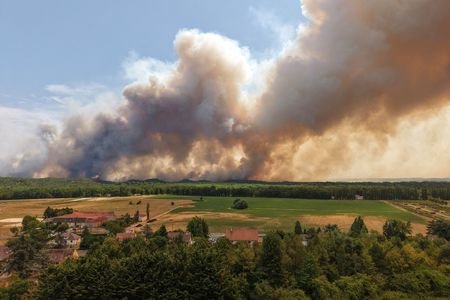 French firefighters battle Fontainebleau forest blaze near Paris