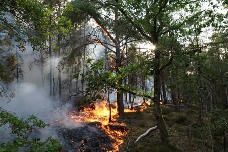 Firefighters battle Fontainebleau forest blaze near Paris