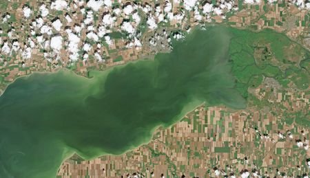 A satellite image of the Sea of Azov