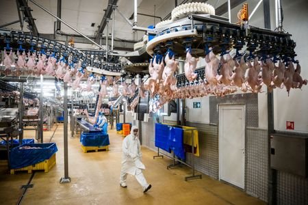 Poland, Hungary’s foreign worker curbs create headache for business