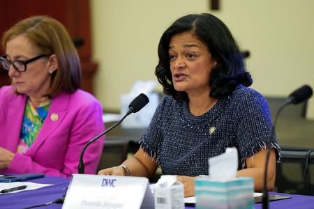 Democratic Women's Caucus forum regarding ICE and CBP policies' impact