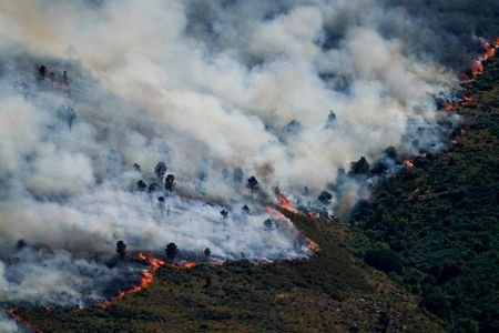Wildfires in Avila