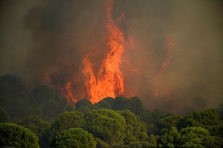 Wildfire in Avila