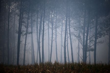tagreuters.com2026binary_LYNXMPEM6T0AO-VIEWIMAGE