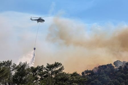 Wildfire on the island of Lesbos