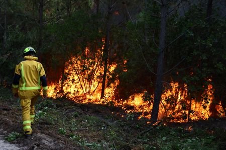 Wildfires in southwest France
