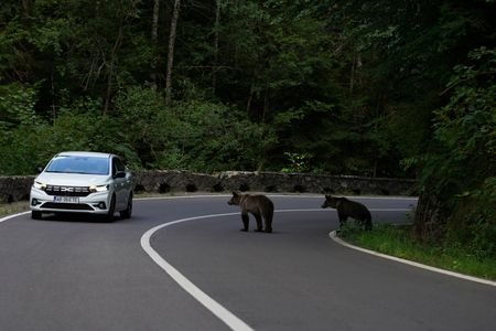 tagreuters.com2026binary_LYNXMPEM702FA-VIEWIMAGE
