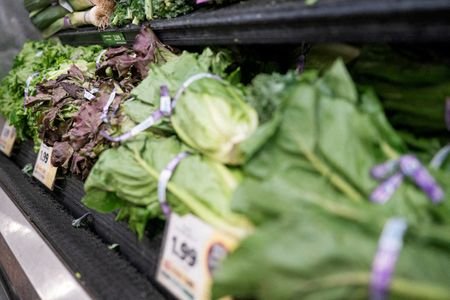 FILE PHOTO: Lettuce is displayed at a grocery store in