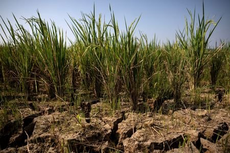 FILE PHOTO: Residents collect emergency water supplies in Indonesia's drought-hit