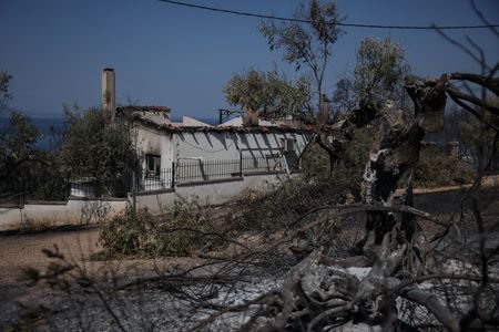 Wildfire burns in Greece