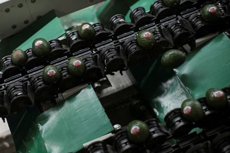US halts avocado export inspections in Mexico's Michoacan over security