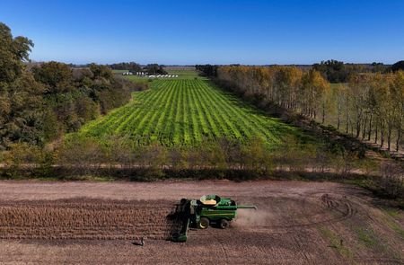 FILE PHOTO: Argentine farmers hurry up to bring in soy