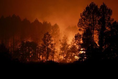 Wildfires in France