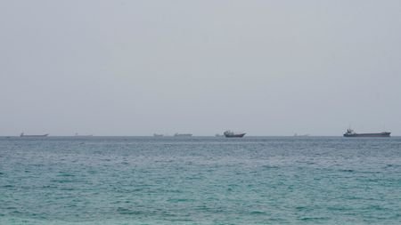 FILE PHOTO: Vessels near the Strait of Hormuz, as seen