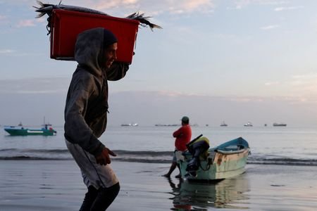 How Ecuador's fishermen are being swept up into international narcotics