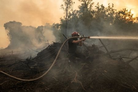 Wildfire burns in Serbia