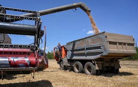FILE PHOTO: Wheat harvest in Russia's Rostov region