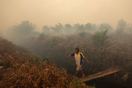 Wildfires in West Kalimantan