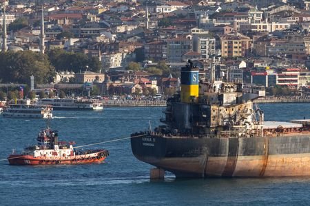 Liberia-flagged bulk carrier Anna S transits the Bosphorus in Istanbul