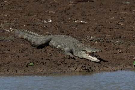 tagreuters.com2026binary_LYNXMPEM870HR-VIEWIMAGE