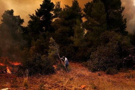 Wildfire burns near Agia Paraskevi