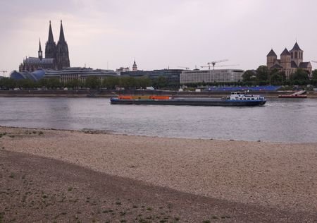 FILE PHOTO: Low water levels on the Rhine river in