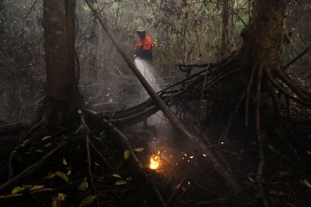 Wildfires in West Kalimantan province