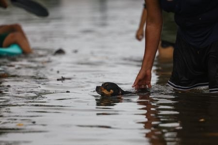 Mexico’s Sheinbaum urges coastal residents to remain indoors as Hurricane Simon nears coast