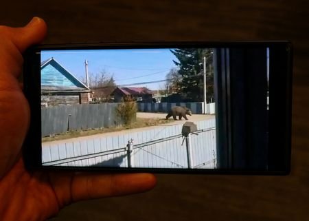 Russia cracks down on AI bears as real attacks spread