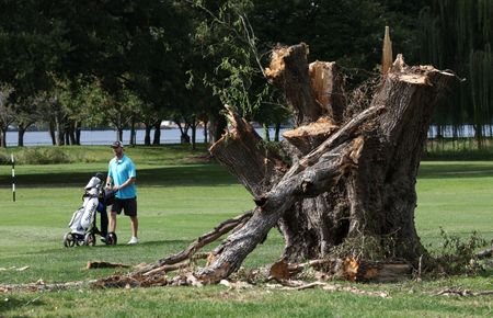 Golfer passes a felled tree at East Potomac Golf Links