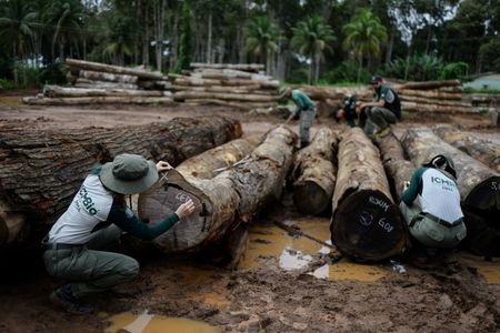 FILE PHOTO: Brazil seizes illegally cut trees, stepping up Amazon