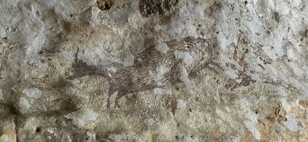 A rock painting depicting a pig at a cave in