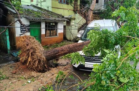 A vehicle damaged by a fallen tree following Cyclone Arnab,